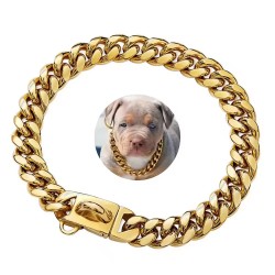 Custom Steel Dog Collar