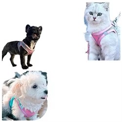 Pet Harness and Adjustable Control Vest dog
