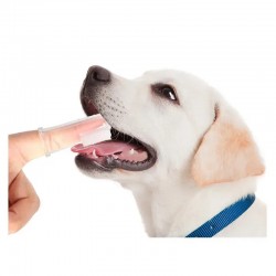 Sleeve Toothbrush