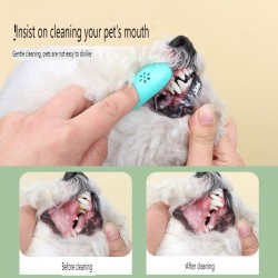 Pet Oral Cleaning Toothpaste Pet Cleansing Products Toothpaste and Toothbrush Set Factory Wholesale