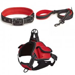 New Multifunctional Dog Harness Waterproof Pet Dog Vest Style Harness Set with Treat Pack