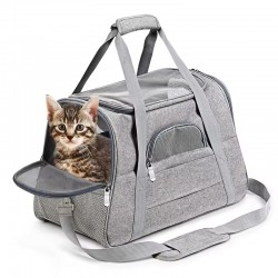 New Pet Outing Carrier