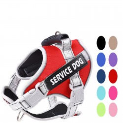 Custom Reflective Dog Harness