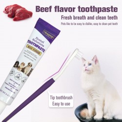 Cleaning Toothbrush