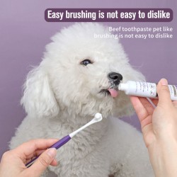 Wholesale Dog Cleaning Toothbrush and Toothpaste Set for Dog Teeth Cleaning With Double-sided Brush