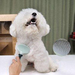 Custom Pet Grooming Kit Durable Safe Dog Nail Clipper Toothbrush Cat Brush Comb With Storage Bag