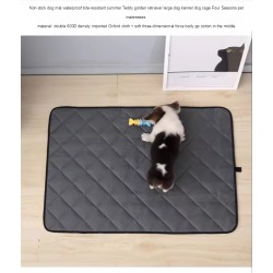 Cat Mat for Indoor Use