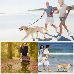 Pet Leash for Outdoor Training Dogs