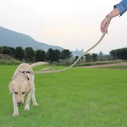 Wholesale Retractable Pet Leash for Outdoor Training Dogs