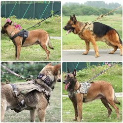 Wholesale Retractable Pet Leash Heavy Duty Adjustable Outdoor Training Dog Rope Durable Leash
