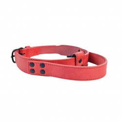Custom Leather Pet