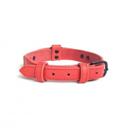 Custom Leather Pet Collar with Grip for Anti-Pulling Control