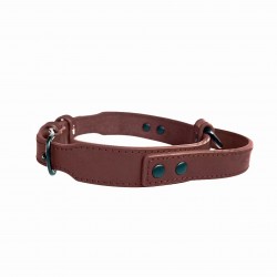 Collar with Grip for Anti-Pulling Control