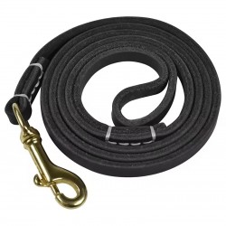 Pet Leash and Slim Hand-Stitched Leather Rope