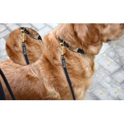 Pet Leather Rope with Brass Hook Slim Hand-Stitched