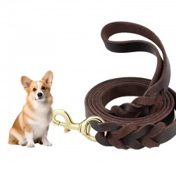 Custom Leather Pet Leash