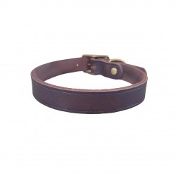 Custom Solid Pet Collar