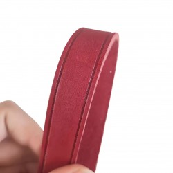 Hot Selling Solid Pet Collar Adjustable Length for Large dog