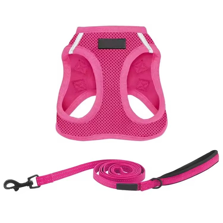 Pet Harness Set