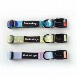 Collar with Reflective Print Ribbon