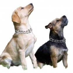 Top Selling Dog Collars & Luxury Soft Adjustable Collar For Pets