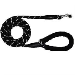 Nylon Dog Leash