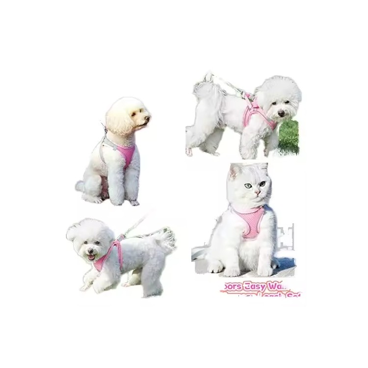 Luxury Pet Harness Luxury Pet Harness