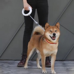 Wholesale Retractable Pet Leash with Light Print Nylon Rope