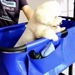 Portable Pet Wash Station – Heavy-Duty Foldable Grooming Tub for Home & Spa Use with Heavy-Duty PVC & Iron