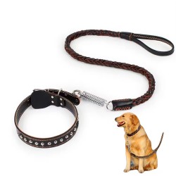 Dog Leash with Explosion-proof Collar Set