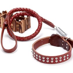 Custom Leather Dog Leash