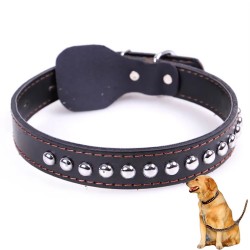 Custom Leather Dog Leash with Explosion-proof Collar Set