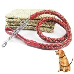 Custom Leather Dog Leash for Medium and Large Dogs Explosion-proof Punch Leather Dog Leash Collar Set