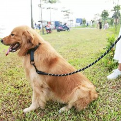 Wholesale Tracking Nylon Rope Reflective Soft Handle Nylon Rope Pet Dog Leash RIBBONS Solid Nylon Custom Logo Pet Harness