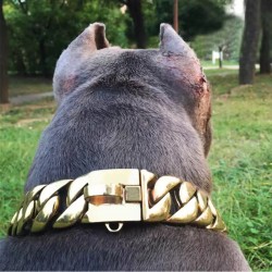 Gold Chain Stainles Steel Bulldog 32mm belt