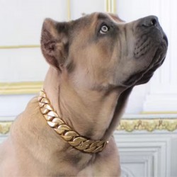 Custom Metal Pet Gold Chain Stainles Steel Bulldog 32mm belt