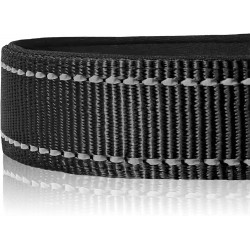Pet Leash with Retractable Collar