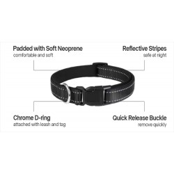 Wholesale Nylon Reflective Pet Leash Retractable Collar Stretch- Dog Pet Accessories
