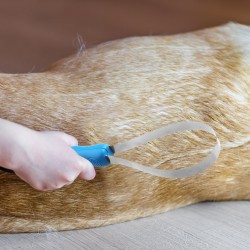 Dog Hair Grooming Comb Cattle Horse Sheep Dog Cat Hair Removal Blade Brush Antipruritic Tooth Scratching Serration Sweat Shaving