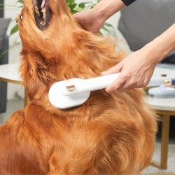 Pet Massage Comb