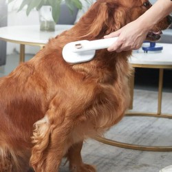 Massage Comb