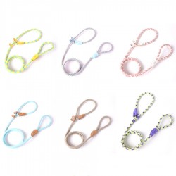 Custom Dog Nylon Leash