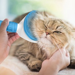 Pet Self-Cleaning Automatic Brush Grooming Dog Cat Shaving Brush Removing Dog Hair Pet Comb