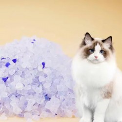 Silica Gel Cat Litter – Strong Absorption Biodegradable Crystal Pack Sand Silica Cat Litter