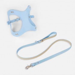 Pet Leash and Handmade Leather Harness
