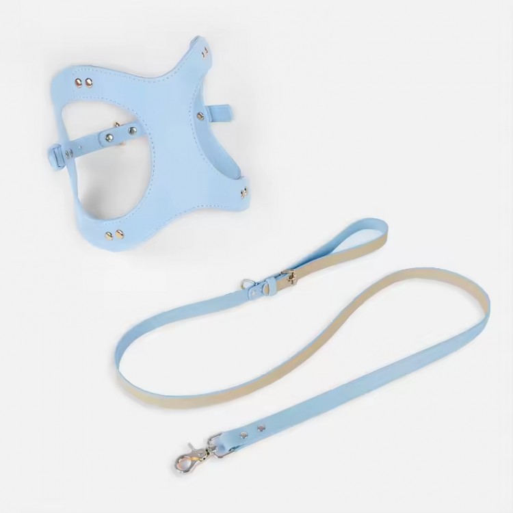 Pet Leash and Handmade Leather Harness Pet Leash and Handmade Leather Harness