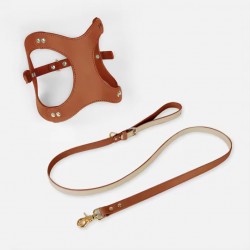 Wholesale Waterproof Pet Leash and Handmade Leather Harness