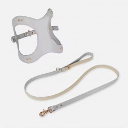Wholesale Waterproof Pet Leash and Collar Handmade Leather Pet Dog