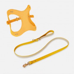Wholesale Waterproof Pet Leash and Collar Handmade Leather Pet Dog