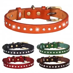 Pet Collar With Shiny Rhinestone Collar
